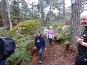 2012-10-11 10-38-06 Rando Fontainebleau-matin DLe